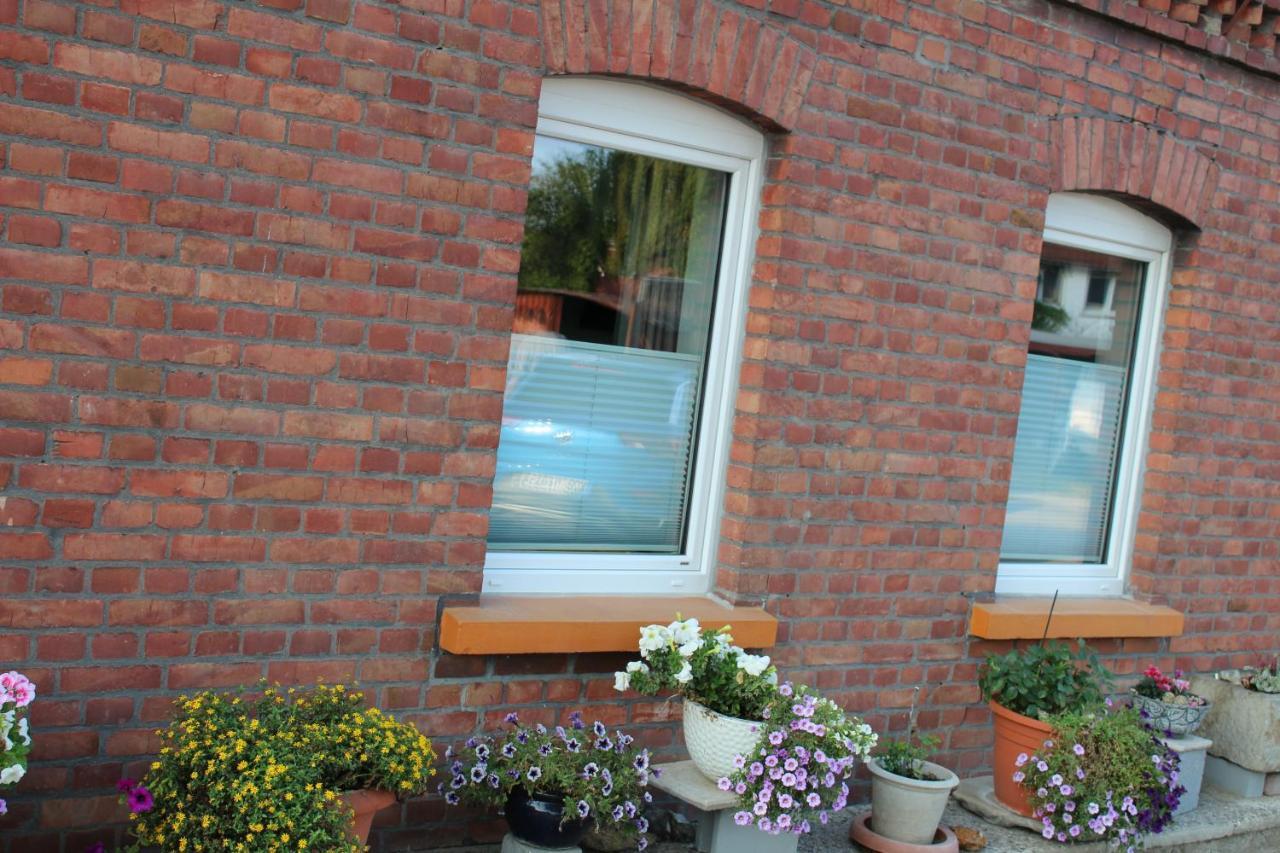 Apartment Hanske Isenbüttel المظهر الخارجي الصورة